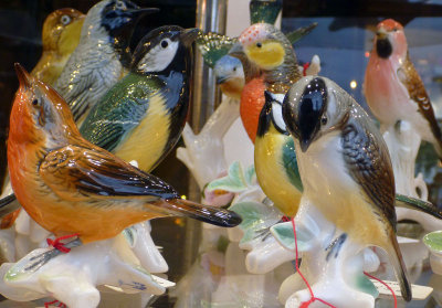 0376 Glass birds in a shop window