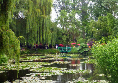 Monet's Lily Pond on a rainy day