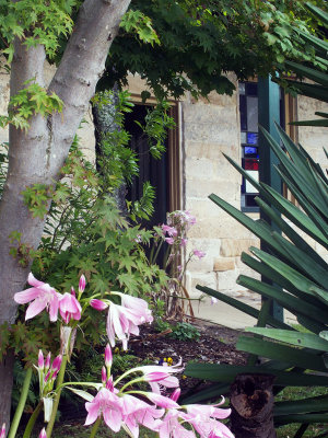 Door to the dining room 
