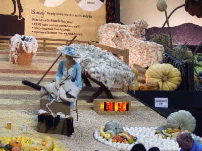 Detail of agricultural exhibit