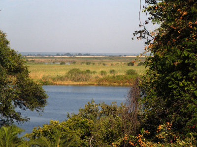 2821: Glimpse of the Chobe River from our hotel window