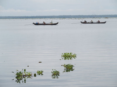 5638: Fishing on Lake Vembanad