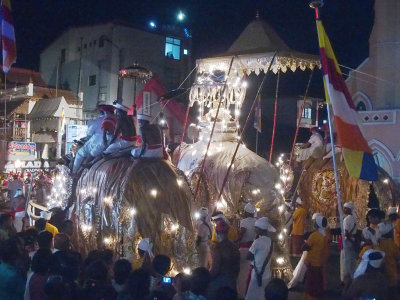 Perehera Festival 2172
