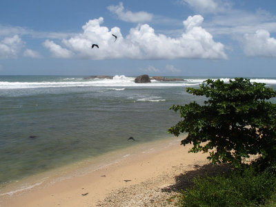 4950: Looking west from near the lighthouse