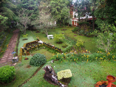 5316: Garden, seen from out balcony