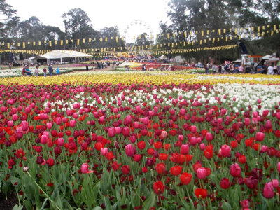 0929: The long view of Floriade