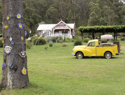 The Morris Minor ute is part of the family