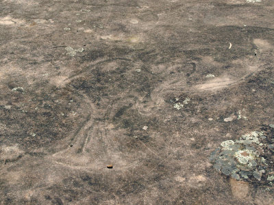 Aboriginal rock carving 