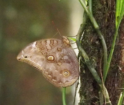 z9220610.JPG