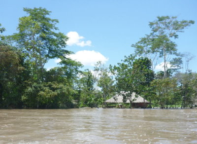 0841: Flooded river bank