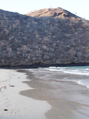 0852: Punta Cormorant