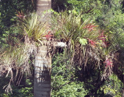 zA212100.JPG