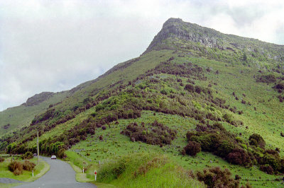 Side road on the Banks Peninsula