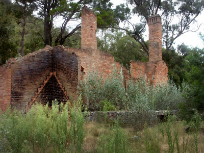 Bushfire, neglect, abandoned.