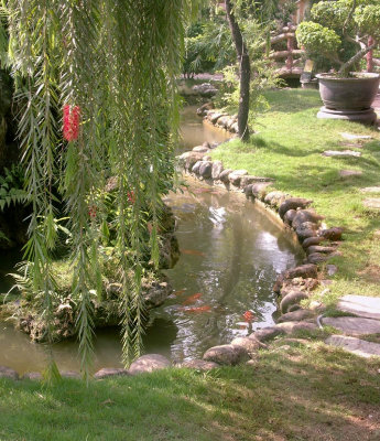 Decorative pond with Australian tree