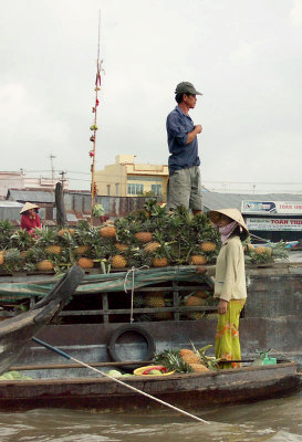 Pineapple business