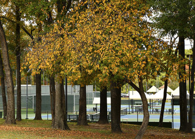IMG_2012 Trying to  be different jpg