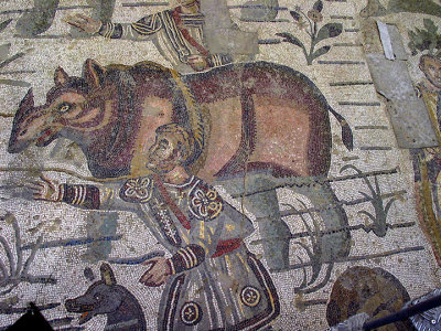 120_2080.Rhino mosaic Villa Casale psd