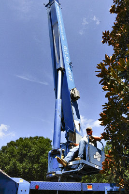 IMG_3304 forgotten man- crane operator jpg.jpg