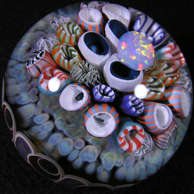 Jack's reef life section is just brilliant, with a fantastic opal turned up on its side on top.