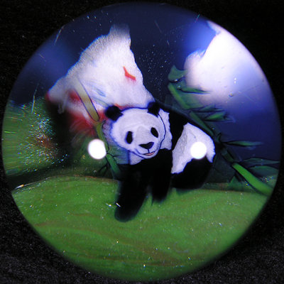 Himalayan Panda  Size: 1.56  Price: SOLD