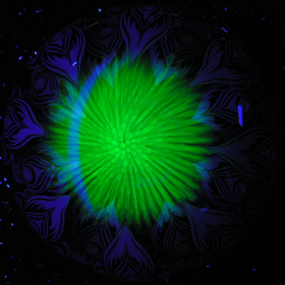Huge 30mm opal in the center, 13 opals altogether - and then BONUS, Daisuke's section is also UV!