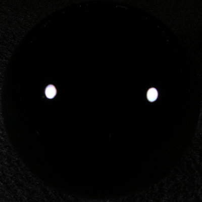 g9/17/390417/3/156891238.Tby9gjyb.jpg