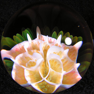 g9/17/390417/3/157738497.PQIePn8i.jpg