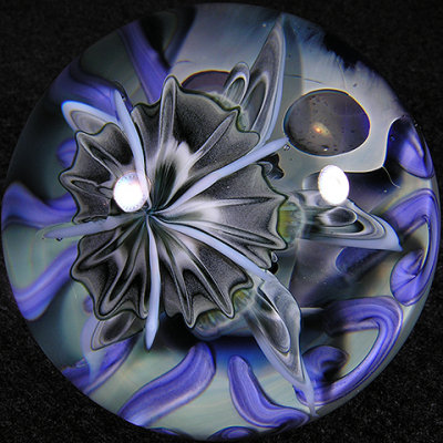 I believe there might only be one other jellyfish collab, although it's a bit different style