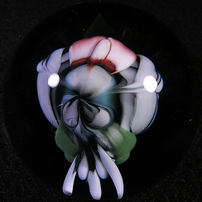 g9/17/390417/3/163042987.fqI9srn7.jpg