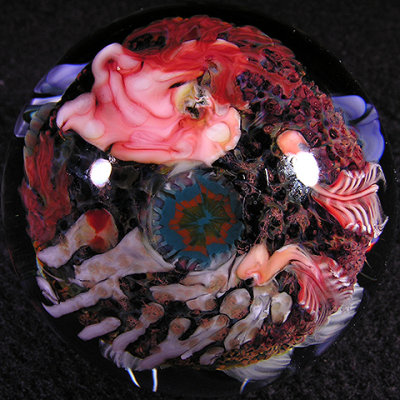 Here John took one of Aaron'a reef cabs and placed it behind his jellyfish