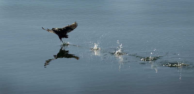 Titicaca lake
