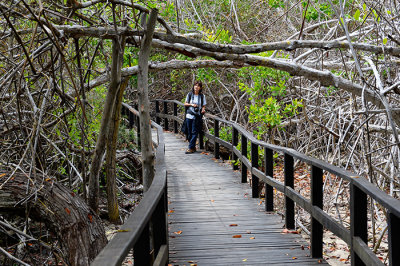 Cocha de Perla.Isabela island