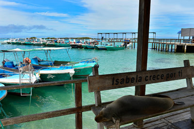 Cocha de Perla.Isabela island