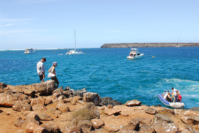 North Seymour island