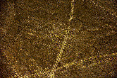 Perro-Dog Nazca lines