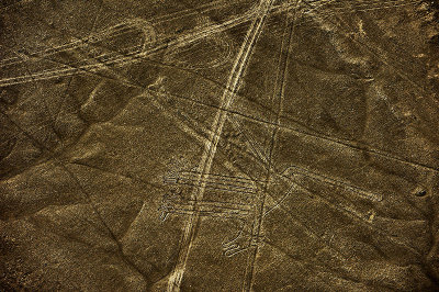 Perro-Dog Nazca lines