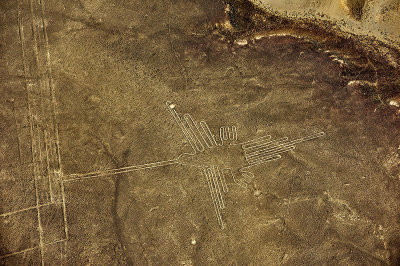 Colibri-Humming Bird.Nazca lines