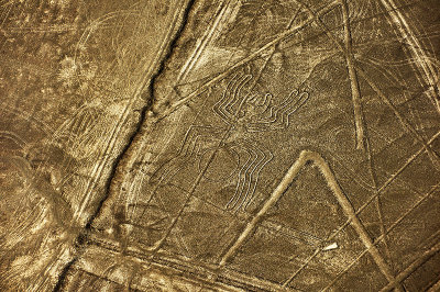 Arana Spider .Nazca lines