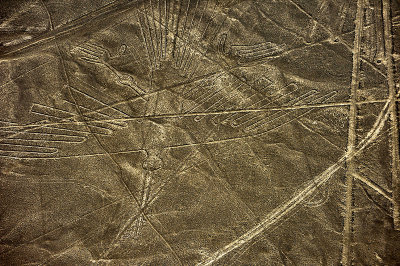 Condor.Nazca lines