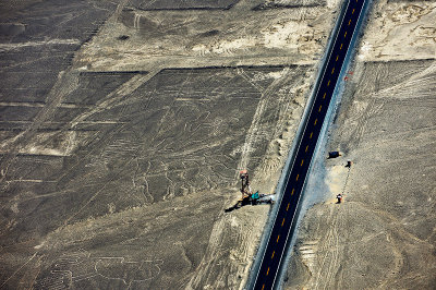 Tree and Hands .Nazca lines