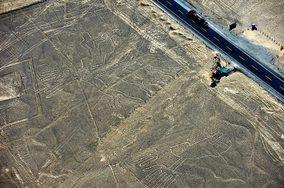 Tree and Hands .Nazca lines