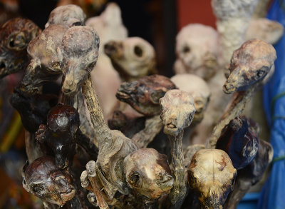 Bolivia Witches market . La Paz