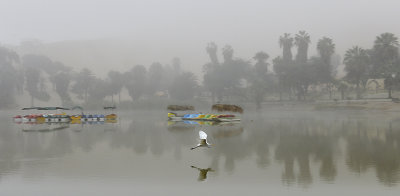 Huacachina.Peru