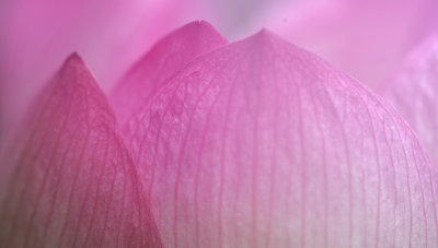 g9/17/480117/3/157216979.veIs0o5f.jpg