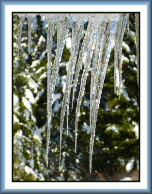 Icicles Bent