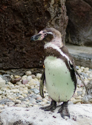 zoo-3.jpg