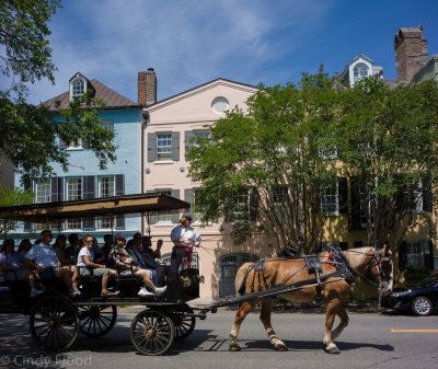 Carriage Rides