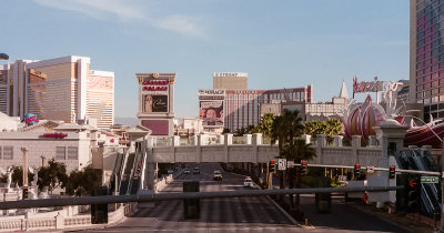 Vegas1.jpg