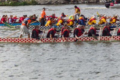Dragon Boat races-3.jpg